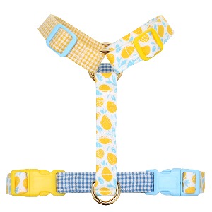 PLAY DATE HARNESS
